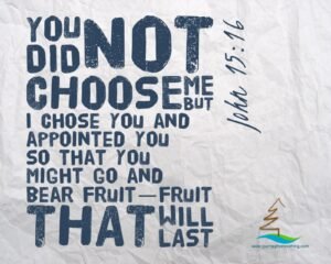 Bible Verse John 15:16