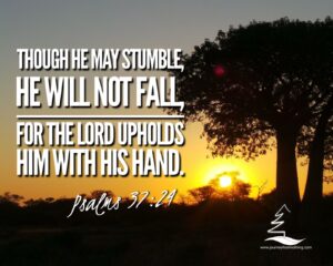 Sunrise at a tree - Psalms 37:24