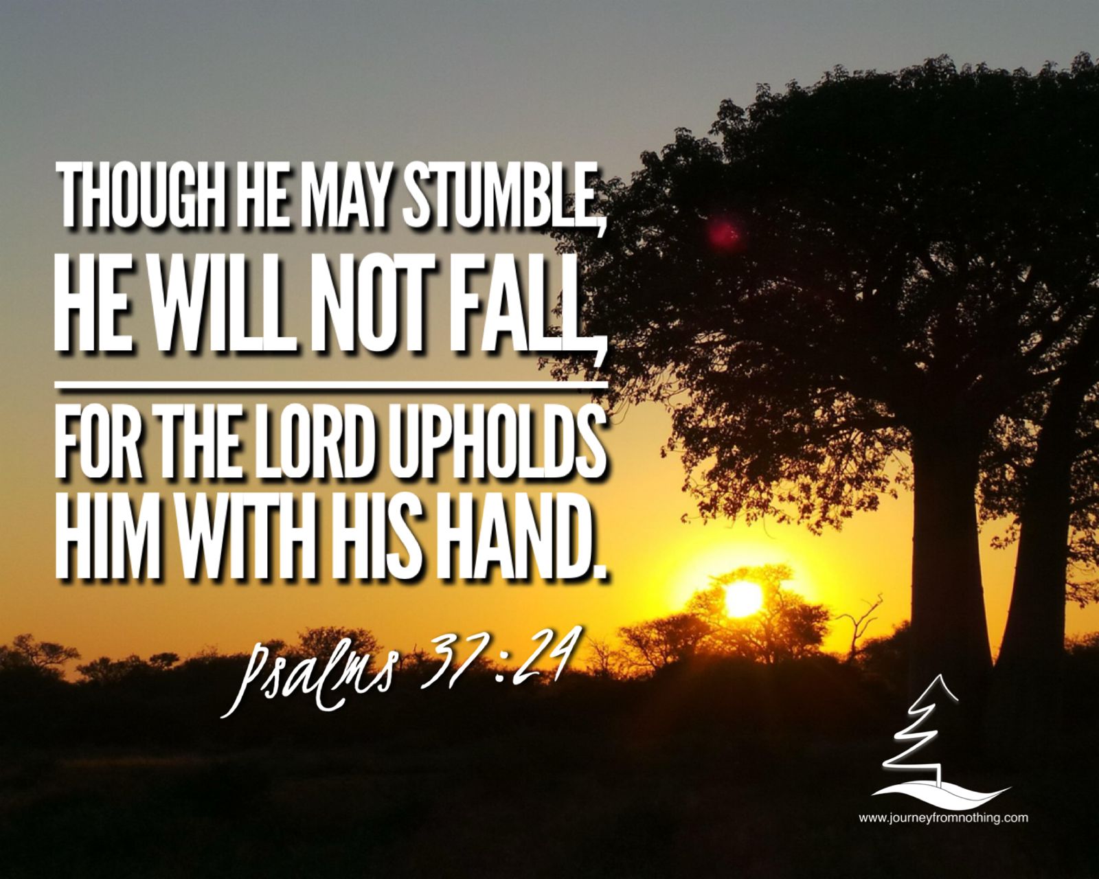 Sunrise at a tree - Psalms 37:24