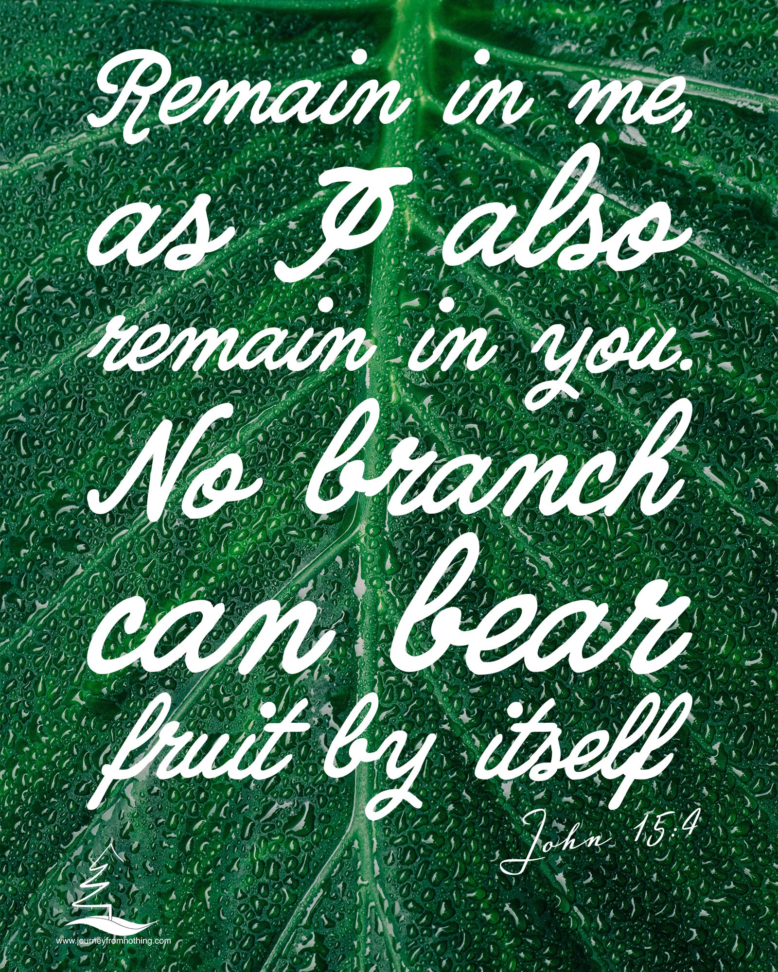 John 15:4 on a wet green leaf
