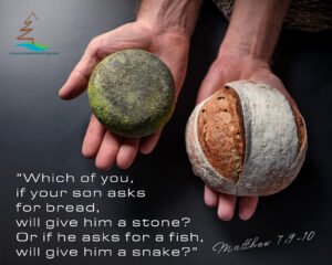 Hands holding a Stone and a loaf of bread, referencing Matt 7:9-10